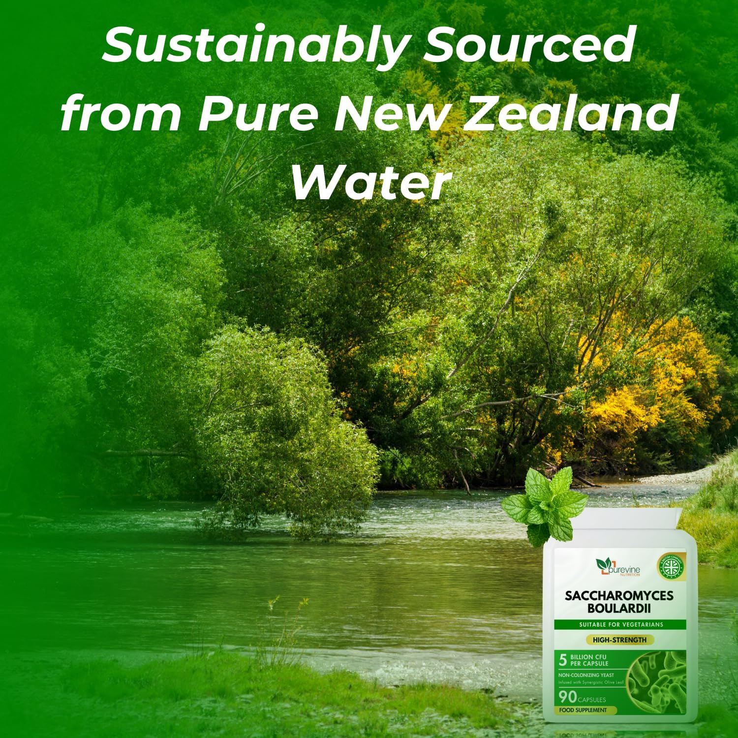 Green Lipped Mussel for Dogs 500mg | Joint Support Supplement